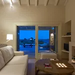 Chrysanthemum Pool-seaview *