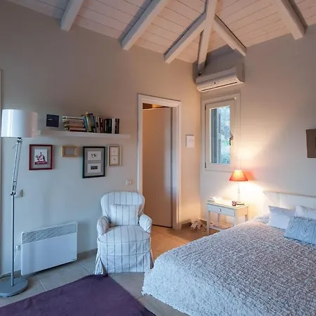 Chrysanthemum Pool-seaview *