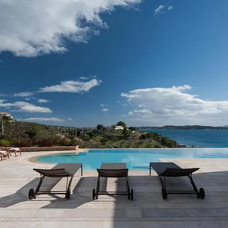 Chrysanthemum Pool-seaview